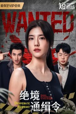 电视剧《绝境通缉令》全集免费在线观看_手机在线播放全集_大陆剧-蓝海影院《绝境通缉令》电视剧完整版资源免费在线观看_《绝境通缉令》_国产剧初映影院《绝境通缉令》全集免费-流星影院