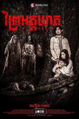 1762848137276510.jpg image.png