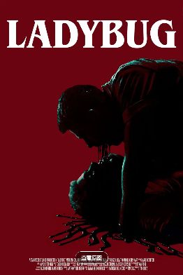 1765706207724446.jpg image.png