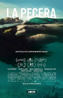 1765809952392658.jpg image.png