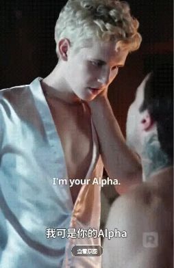 1765873498803760.jpg image.png