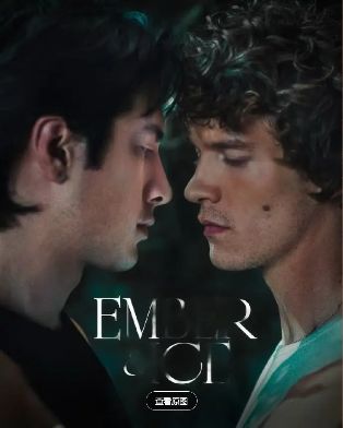 1767105339378382.jpg image.png