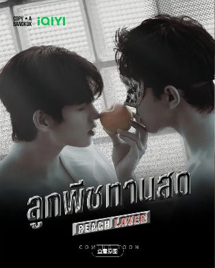 2026泰腐剧《桃恋者》第02集、03集高清在线观看_电视剧免费观看_双男主泰剧《桃恋者》免费高清在线观看_泰国剧全集_VS影院《桃子情人》在线免费观看下载播放《Peach Lover》男男泰剧
