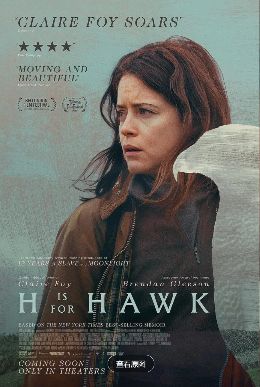 电影《以鹰之名》全集在线观看_2026英国电影《以鹰之名》高清观看 - VS影院剧情电影《以鹰之名》2026电影免费在线播放高清《以鹰之名》正片完整版免费在线观看-全网影视-VS影视