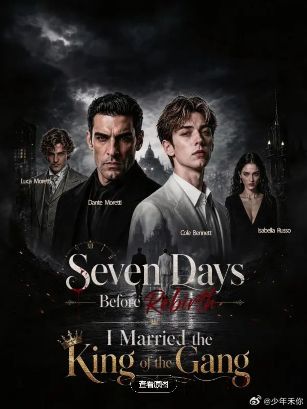 2026美剧《重生七天前，我嫁给了黑帮老大》全集1-36集高清在线观看_电视剧免费观看_双男主美剧《错恨八年继兄跪地求我原谅》免费高清在线观看